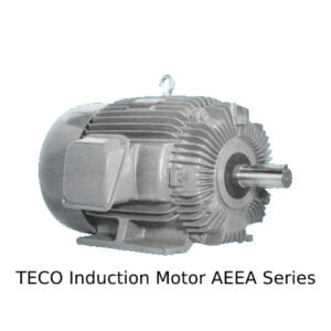 Foto TECO Induction Motor AEEA